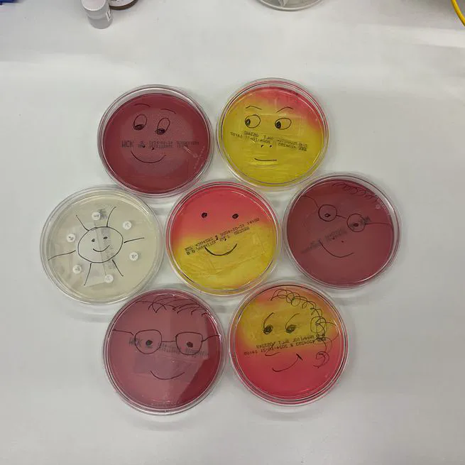 Hygene, Microbiology and Virology