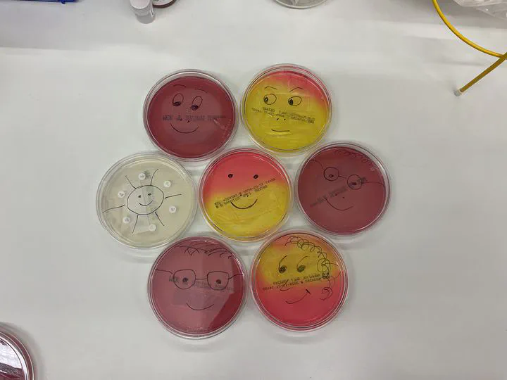 Hygene, Microbiology and Virology